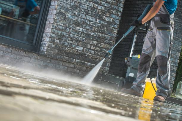 Animal Enclosure Cleaning in Redington Beach, FL